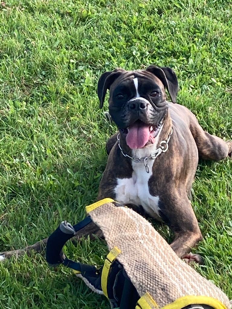 Induna von der Cyraxburg